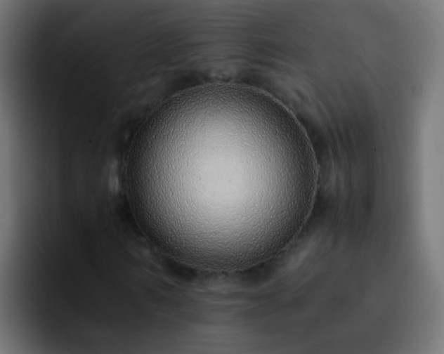X0000093150962200710031425