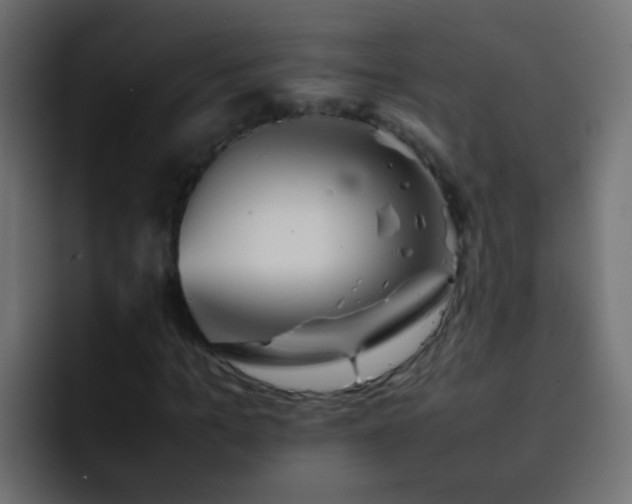X0000093150965200710031425