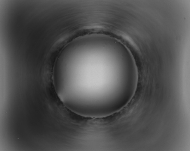 X0000093150967200710031425