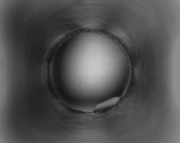 X0000093150968200710031425