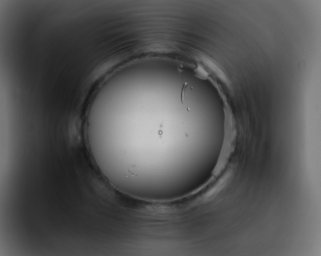 X0000093150970200710031425