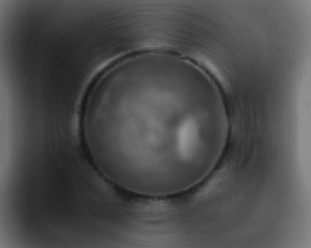 X0000093150975200710031425