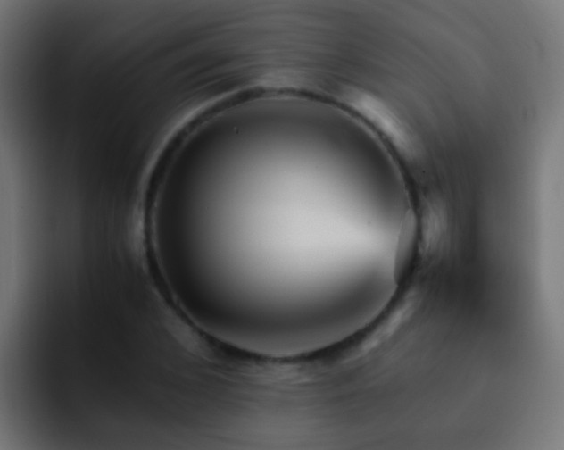 X0000093150976200710031425