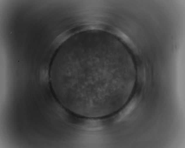 X0000093150977200710031425