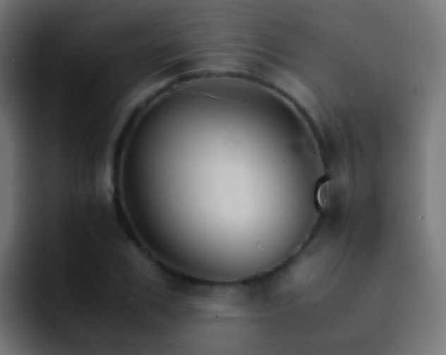 X0000093150979200710031425
