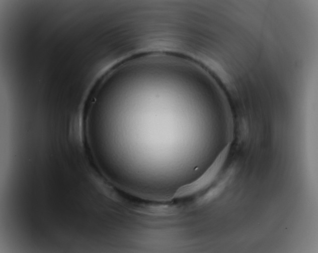 X0000093150982200710031425
