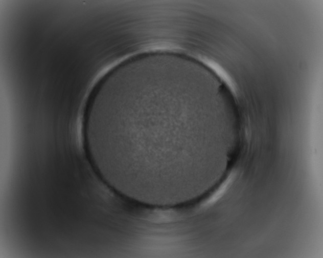X0000093150983200710031425