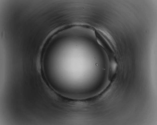 X0000093150984200710031425