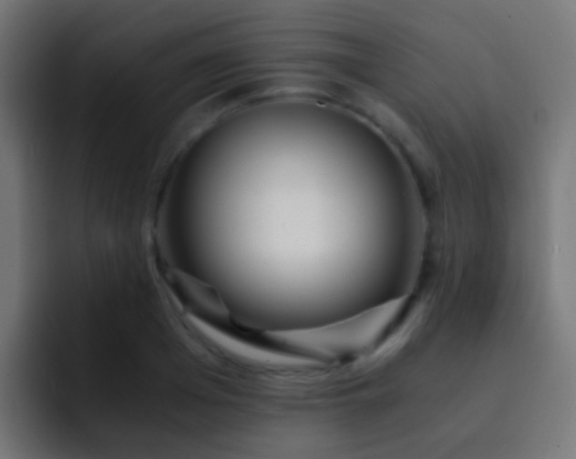 X0000093150985200710031425