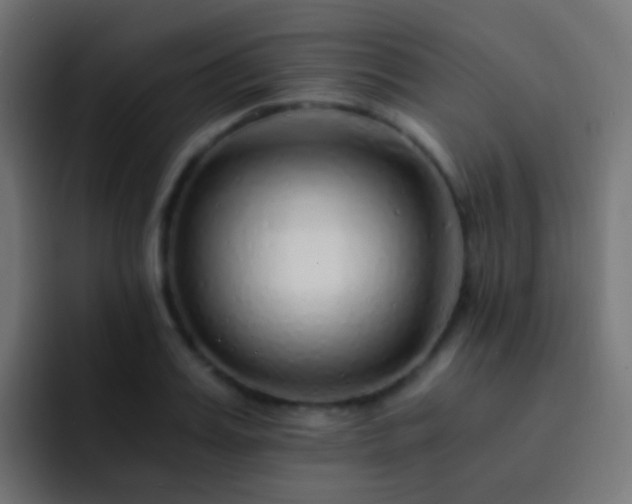 X0000093150987200710031424
