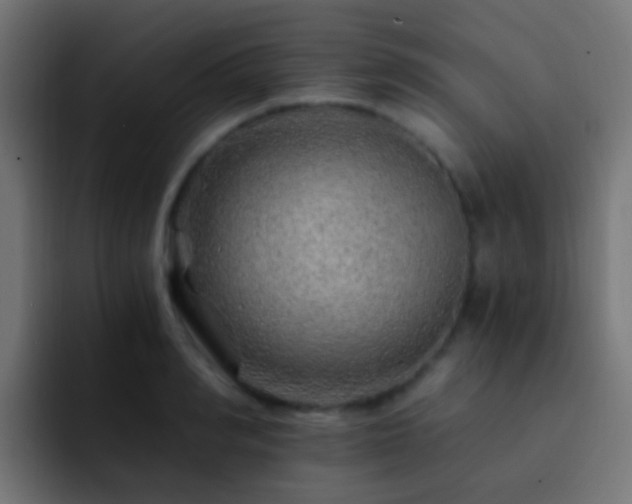 X0000093150990200710031424