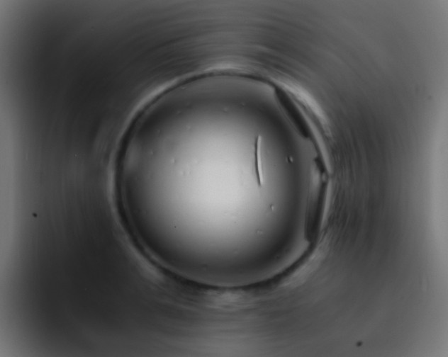 X0000093150991200710031424