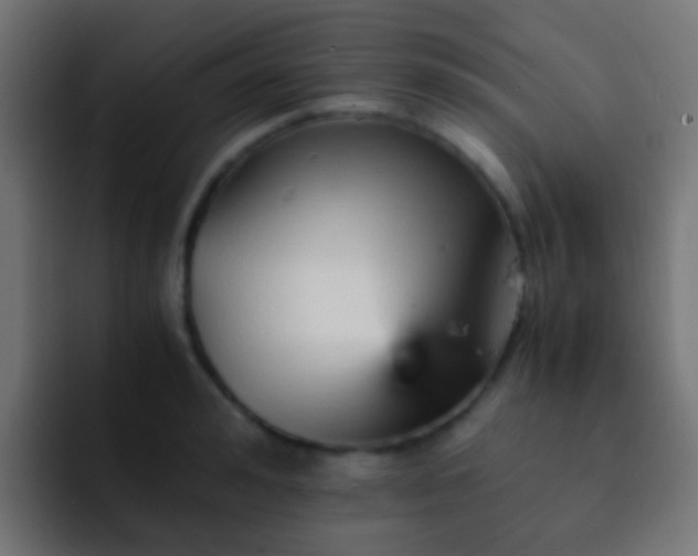 X0000093150992200710031424