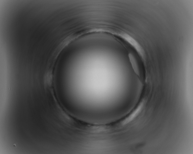 X0000093150993200710031424