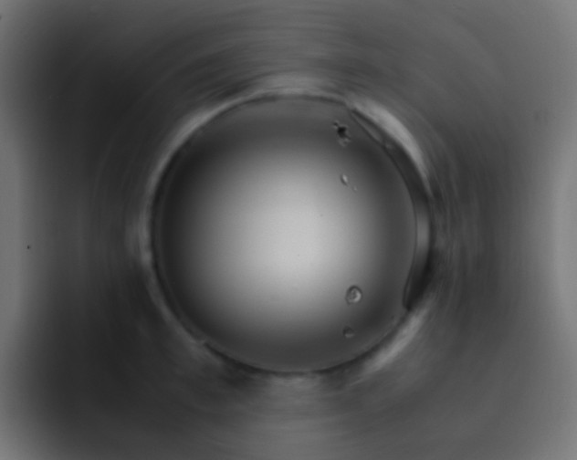 X0000093150997200710031424