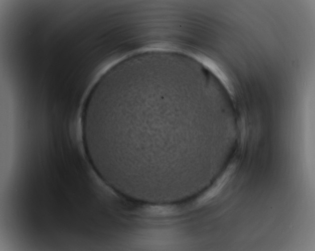 X0000093150998200710031424