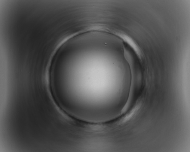 X0000093150999200710031424