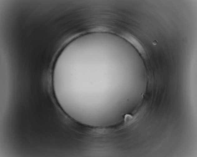 X0000093151000200710031424