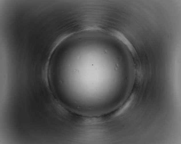 X0000093151002200710031424