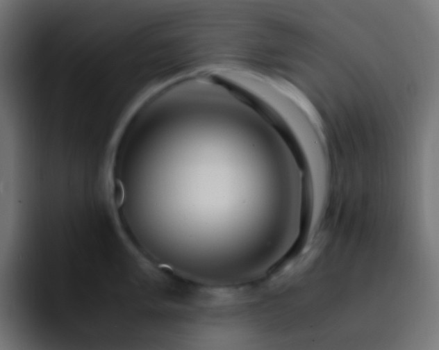 X0000093151005200710031424