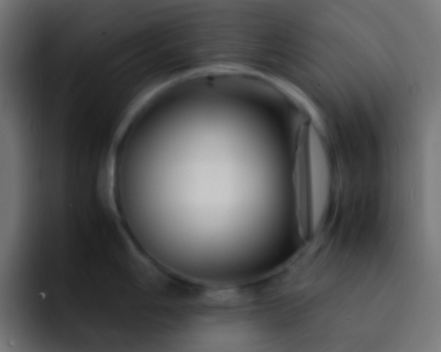 X0000093151006200710031424