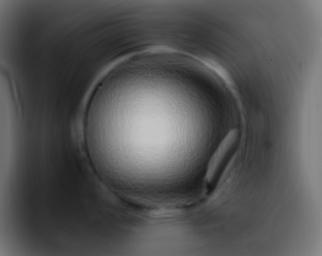 X0000093151008200710031424