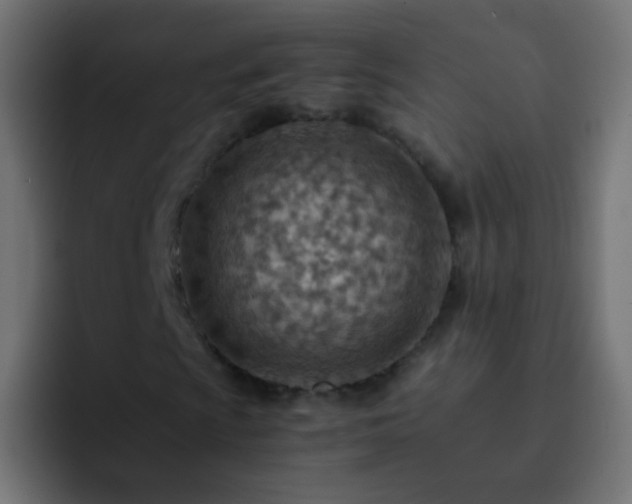 X0000093151009200710031424