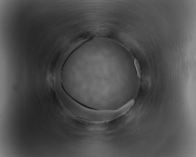 X0000093151010200710031424