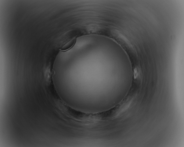 X0000093151011200710031424