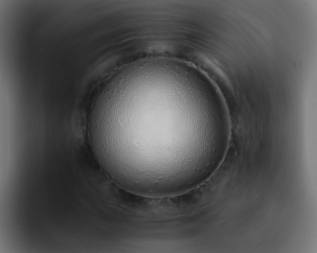 X0000093151015200710031424