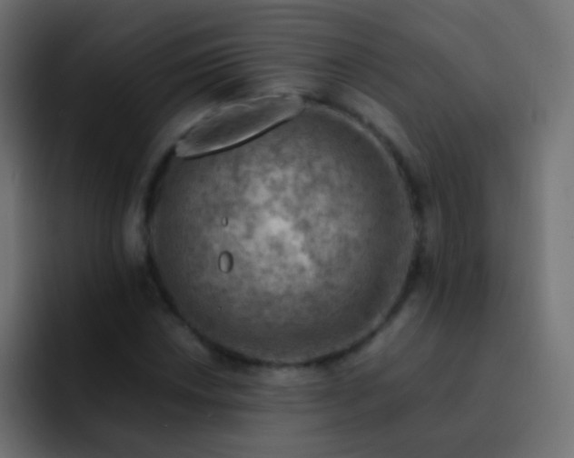 X0000093151018200710031424