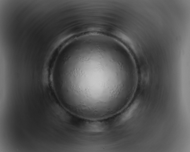 X0000093151019200710031424