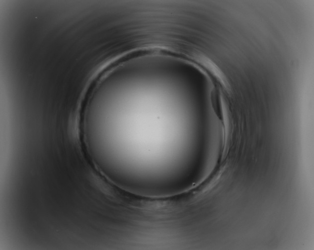 X0000093151020200710031424