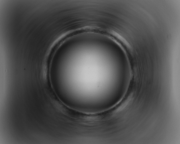 X0000093151021200710031424