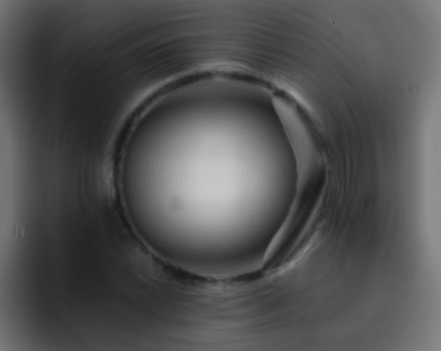 X0000093151022200710031424