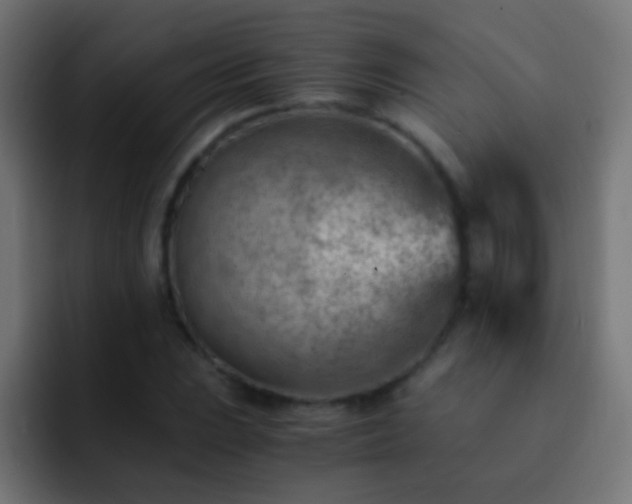 X0000093151023200710031424