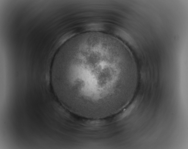 X0000093151025200710031424