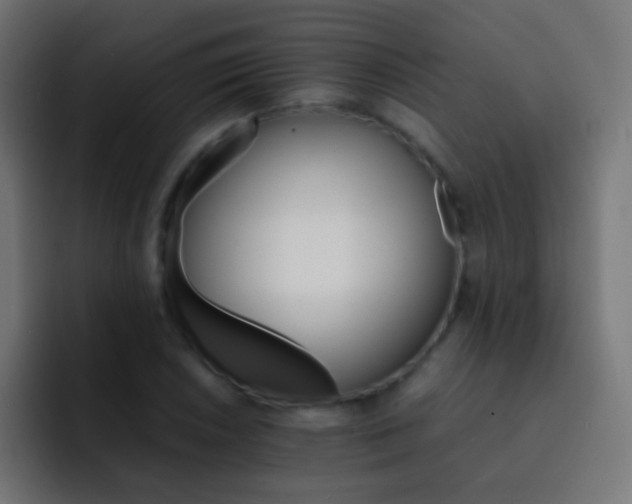 X0000093151026200710031424