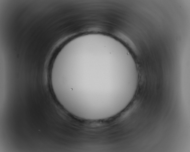 X0000093151027200710031424
