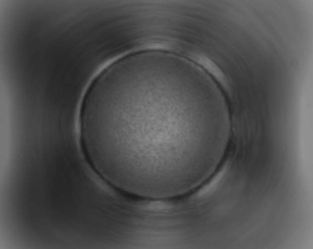 X0000093151028200710031424