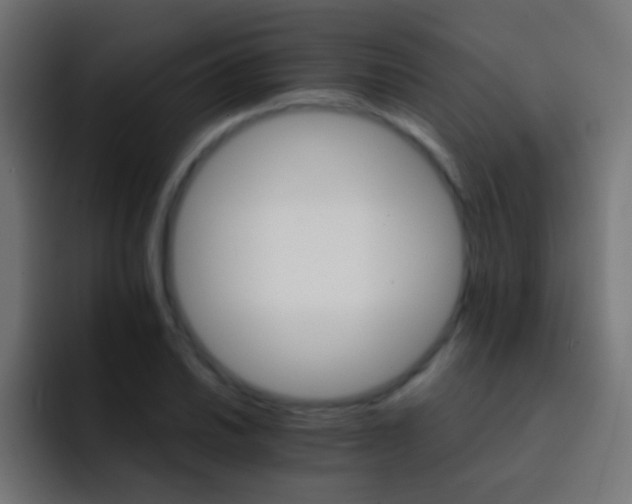 X0000093151030200710031424