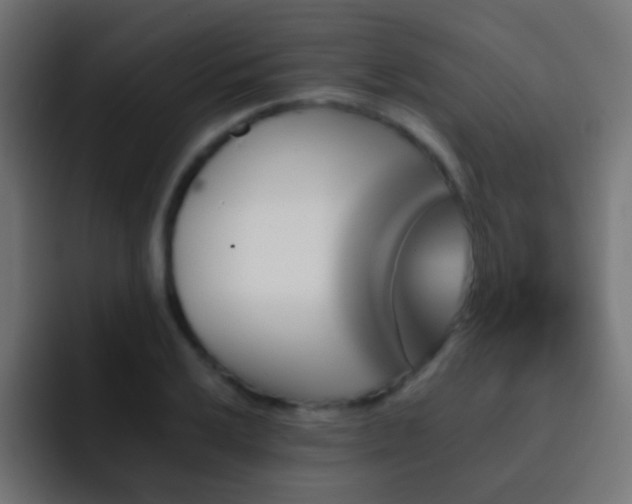 X0000093151032200710031424