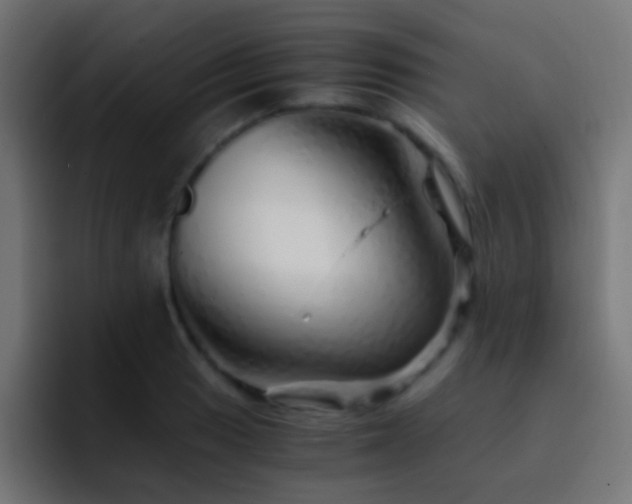 X0000093151033200710031424