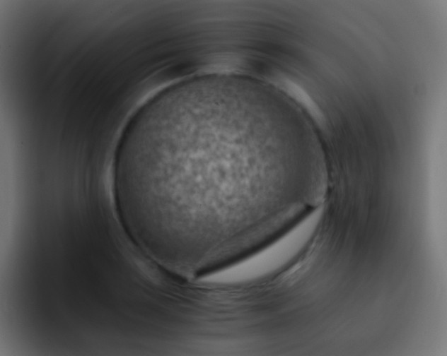 X0000093151035200710031424