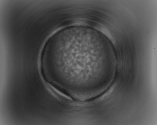 X0000093151037200710031424