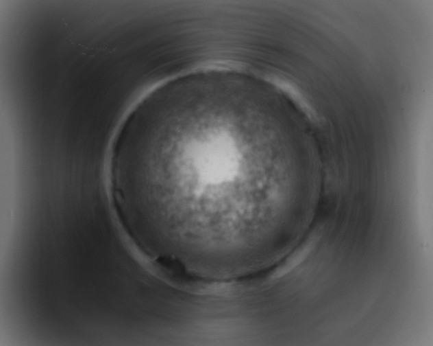 X0000093151038200710031424