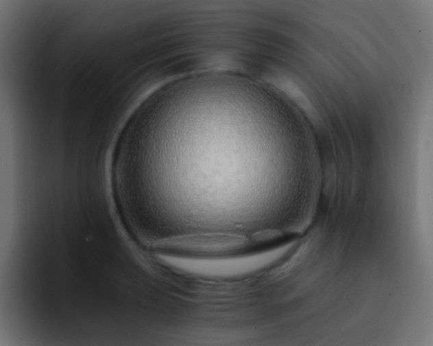 X0000093151039200710031424