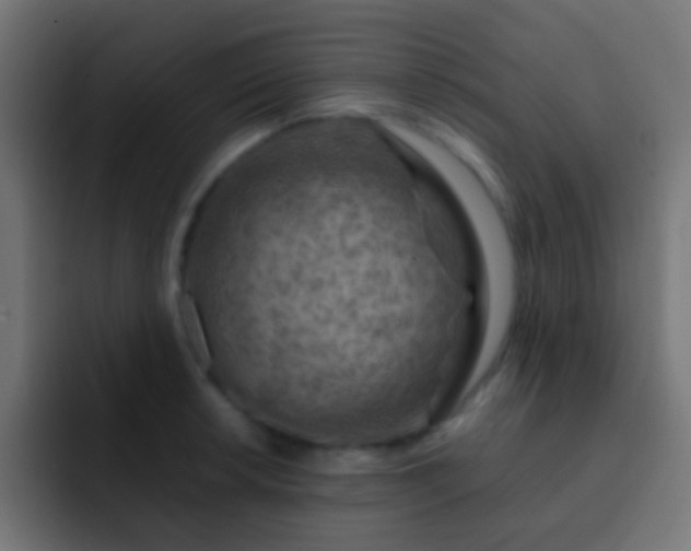 X0000093151042200710031424