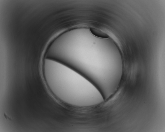 X0000093151045200710031424