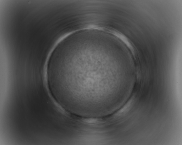 X0000093151048200710031424